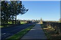 NZ3210 : NCN165 along Hurworth Road by DS Pugh