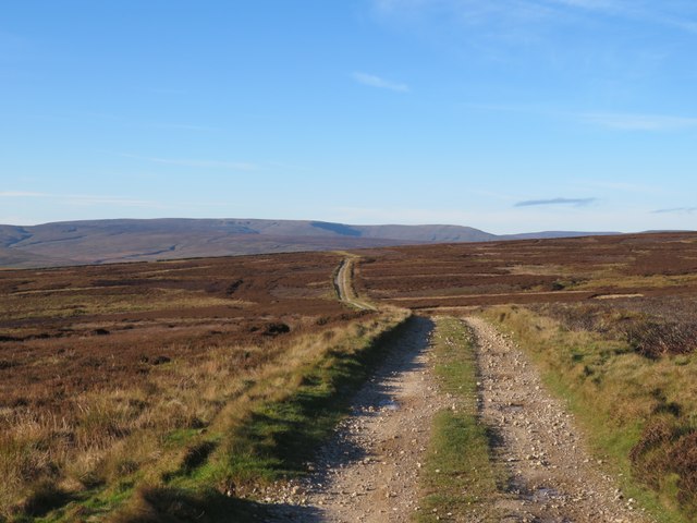 Track across the moor © Gordon Hatton :: Geograph Britain and Ireland