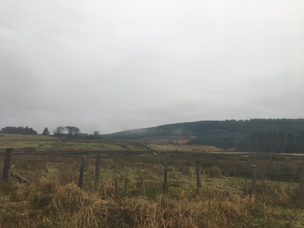 Grazing ground near East Kielder © Steven Brown cc-by-sa/2.0 ...