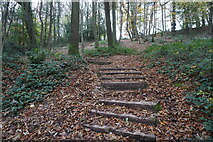 ST3162 : Steps up to Worlebury Hill by Ian S