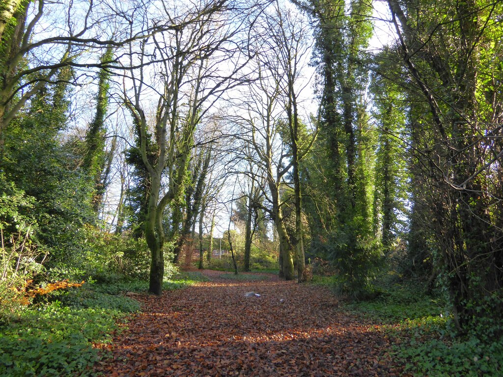 undeveloped-parcel-of-land-kevin-waterhouse-cc-by-sa-2-0-geograph