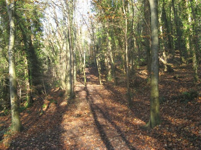 Leaf carpet © Jonathan Wilkins cc-by-sa/2.0 :: Geograph Britain and Ireland