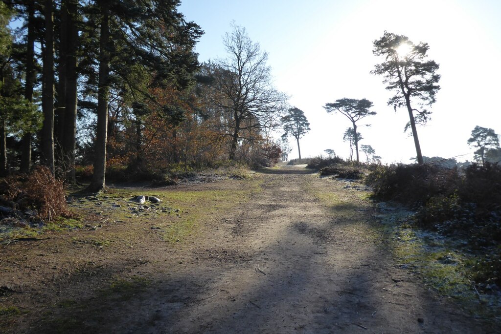 Path On The Lickey Hills Philip Halling Cc By Sa 2 0 Geograph   7662984 9a7d8271 1024x1024 