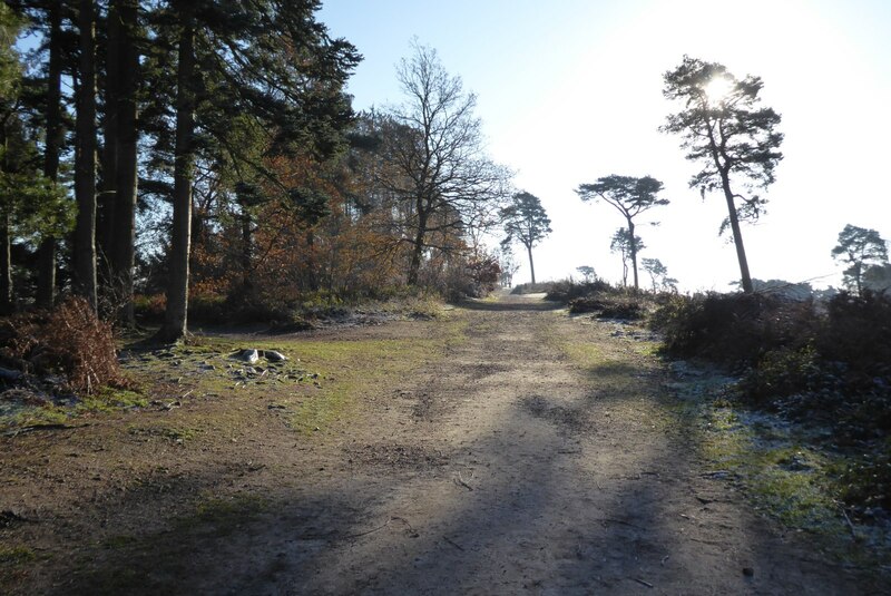 Path on the Lickey Hills © Philip Halling cc-by-sa/2.0 :: Geograph ...