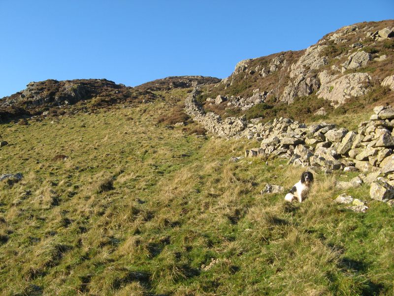 broken-wall-jonathan-wilkins-cc-by-sa-2-0-geograph-britain-and-ireland