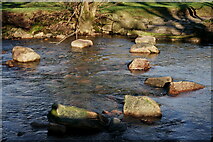 NY1700 : River Esk by Peter Trimming