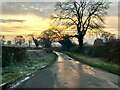 SE4485 : December afternoon, Upsall Lane by Gordon Hatton