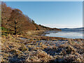 NH5849 : Shore of the Beauly Firth below Redcastle by Julian Paren
