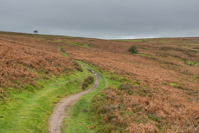 Above Ashes Hollow © Ian Capper :: Geograph Britain And Ireland