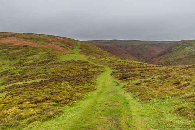 Barrister's Plain © Ian Capper :: Geograph Britain and Ireland