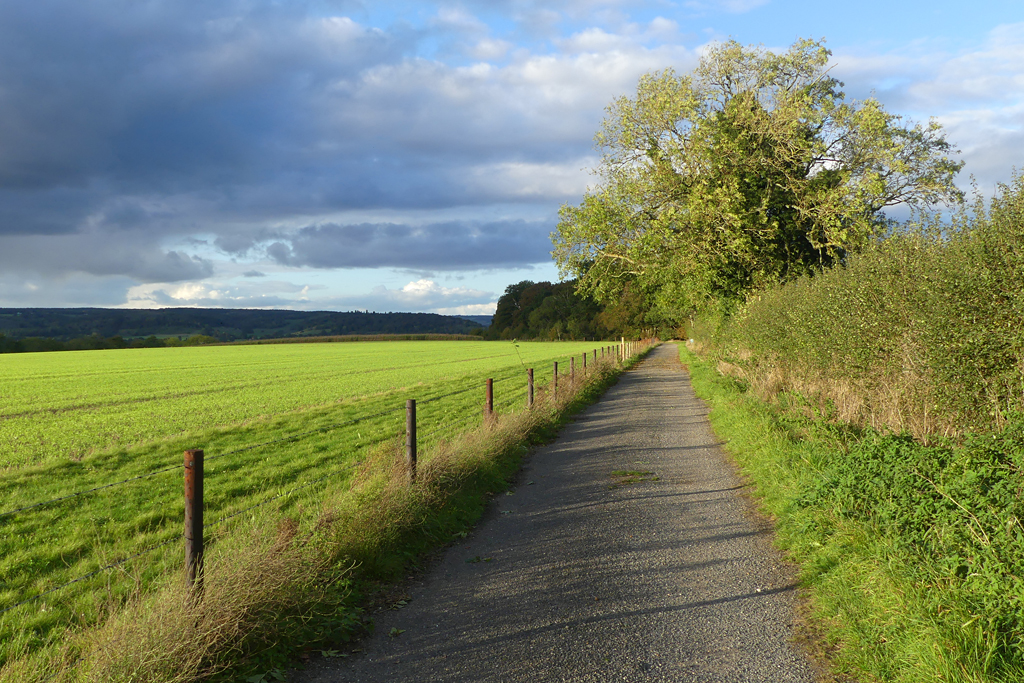 Track And Farmland Remenham © Andrew Smith Cc By Sa 2 0 Geograph