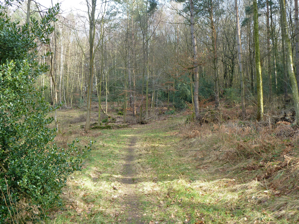 Footpath 42, Abinger, enters Pasture... © Robin Webster :: Geograph ...