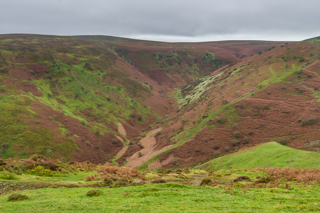 Callow Hollow © Ian Capper cc-by-sa/2.0 :: Geograph Britain and Ireland