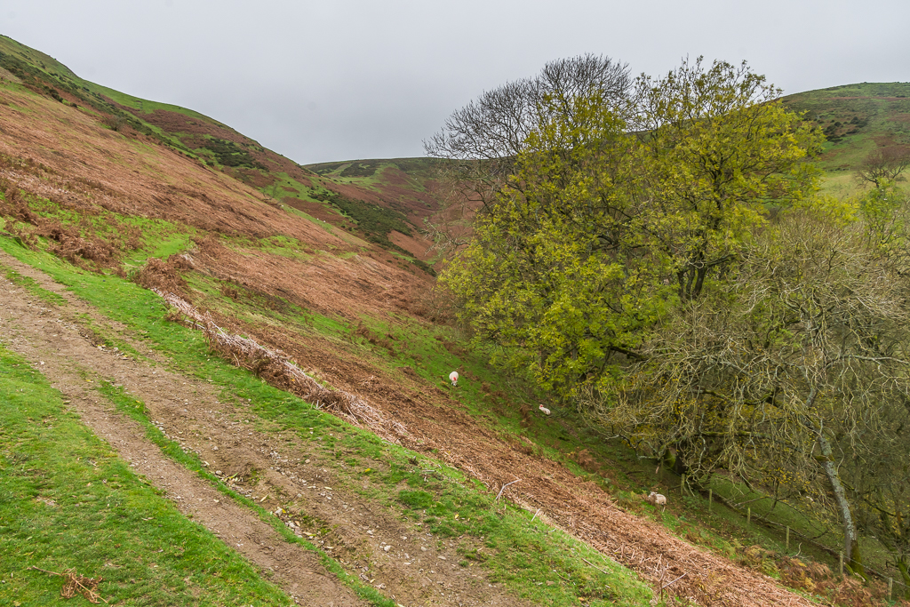 above-small-batch-ian-capper-geograph-britain-and-ireland