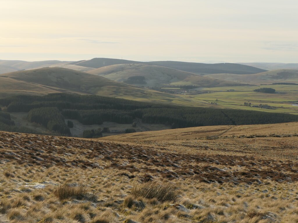 On Whiteside Hill © Richard Webb cc-by-sa/2.0 :: Geograph Britain and ...