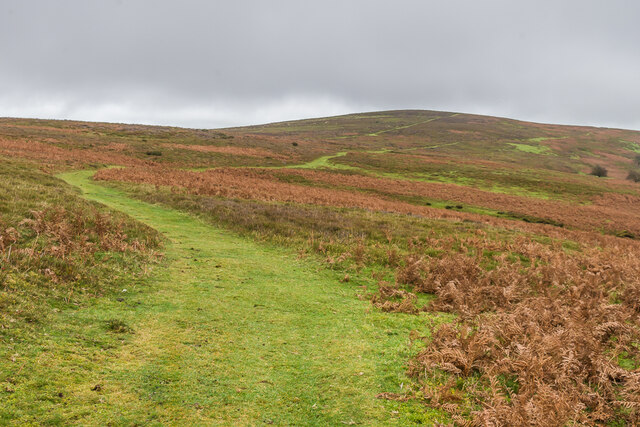 Towards Minton Hill © Ian Capper cc-by-sa/2.0 :: Geograph Britain and ...