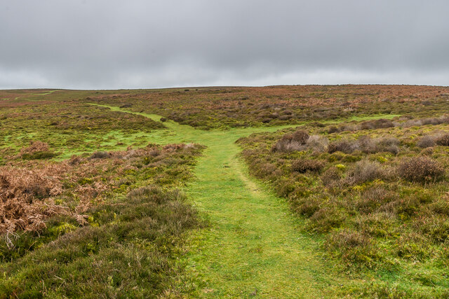 Long Mynd © Ian Capper cc-by-sa/2.0 :: Geograph Britain and Ireland