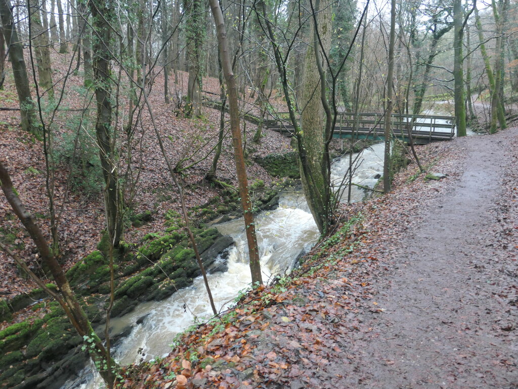 Eller Beck in Skipton Castle Woods © Christine Johnstone cc-by-sa/2.0 ...