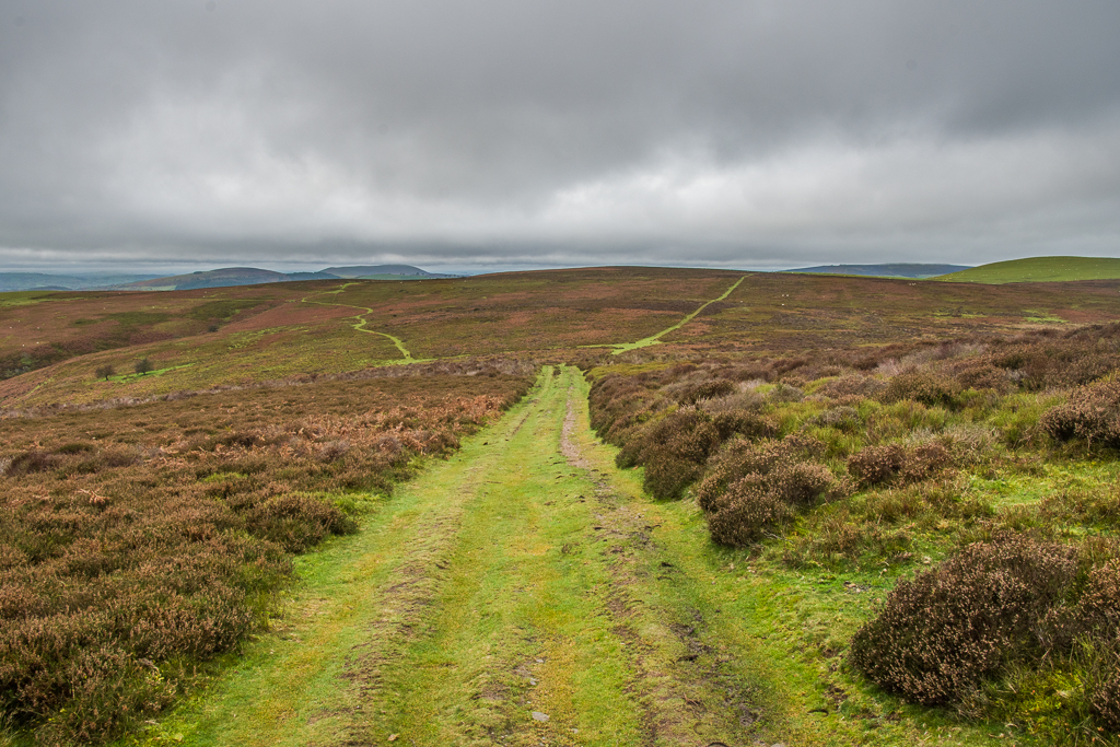 On Minton Hill © Ian Capper cc-by-sa/2.0 :: Geograph Britain and Ireland