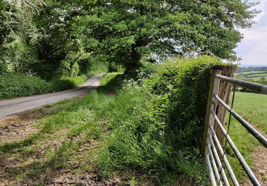 Lane And Gate Near Moorwood © Mat Fascione Cc By Sa 2 0 Geograph Britain And Ireland