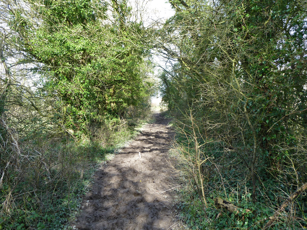 Bridleway 2251, Storrington and... © Robin Webster :: Geograph Britain ...