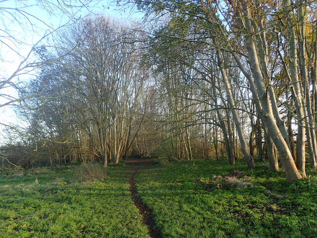 Green Chain Walk on East Wickham Open... © Marathon cc-by-sa/2.0 ...