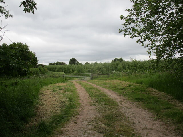 Entrance to an orchard at Preston © Jonathan Thacker cc-by-sa/2.0 ...