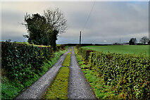 H4179 : Killynure Road by Kenneth  Allen