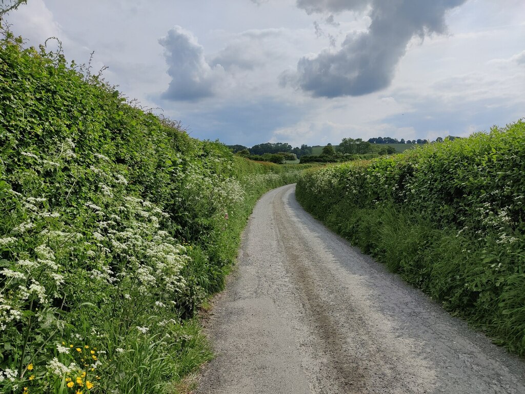 Lane Towards Lower Dinchope © Mat Fascione Cc By Sa20 Geograph Britain And Ireland 9457