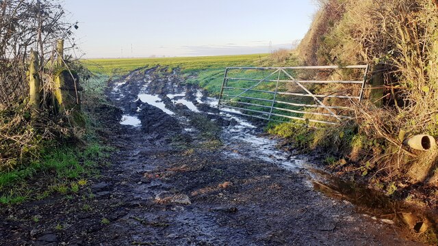 Field with muddy entrance northwest of... © Roger Templeman :: Geograph ...