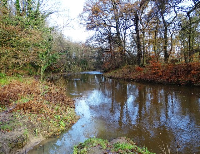 Autumn on the Derwent © Robert Graham :: Geograph Britain and Ireland