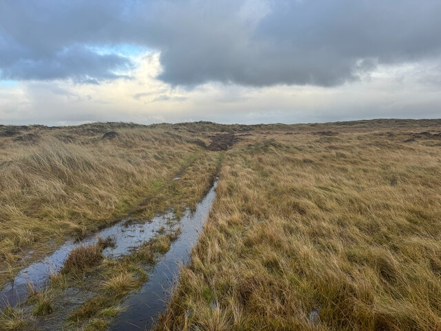 Forvie Nature Reserve paths © Ralph Greig :: Geograph Britain and Ireland