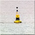 SD3353 : Yellow River Lune Buoy by Gerald England