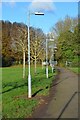 SJ9122 : A line of lamp posts on the path to the north exit of Rowley Park, Stafford by Rod Grealish