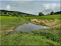 SO4382 : Pond and stream near Craven Arms by Mat Fascione