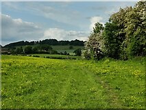 SO4382 : Path and grassland near the River Onny by Mat Fascione
