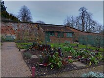 SU7283 : Greys Court vegetable garden by Oscar Taylor