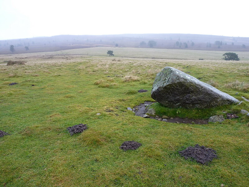 A semirecumbent standing stone © Richard Law ccbysa/2.0 Geograph