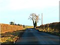 Road east of Middleton on Leven