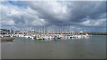 O2839 : Yacht moorings, Howth Harbour by Colin Park