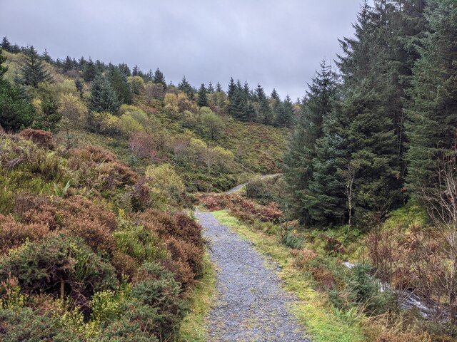 Path at the Hafren Forest © Fabian Musto :: Geograph Britain and Ireland