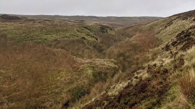 The River Severn (Cambrian Mountains) © Fabian Musto cc-by-sa/2.0 ...