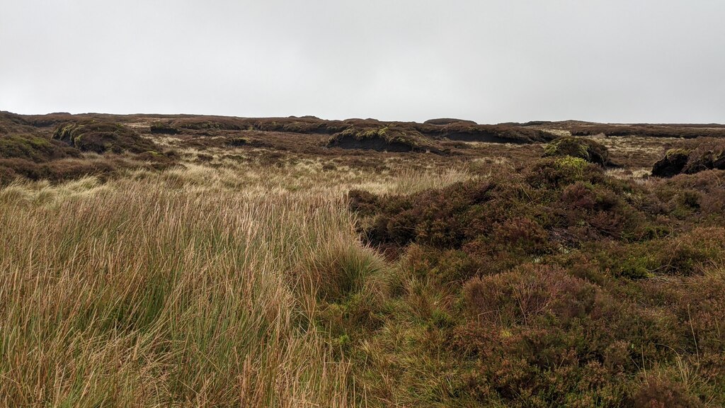 Peatland At The Cambrian Mountains © Fabian Musto Cc-by-sa 2.0 