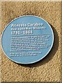 ST5971 : Blue plaque commemorating Princess Caraboo by Sofia 