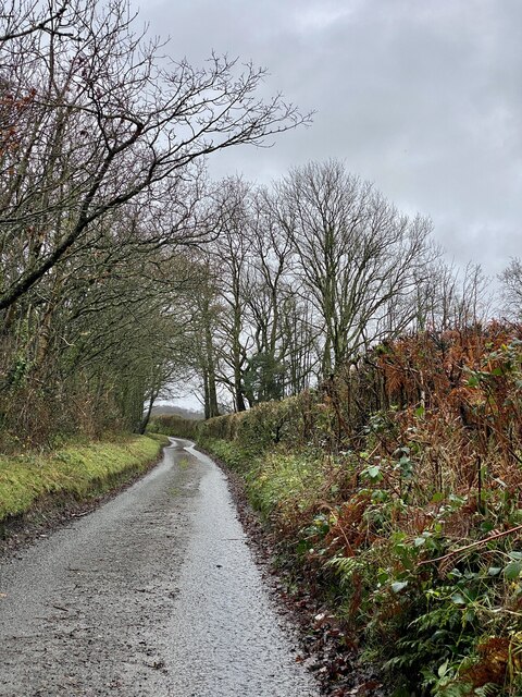 country-lane-in-carmarthenshire-alan-hughes-geograph-britain-and