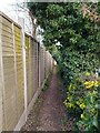 Footpath towards Wasing Road