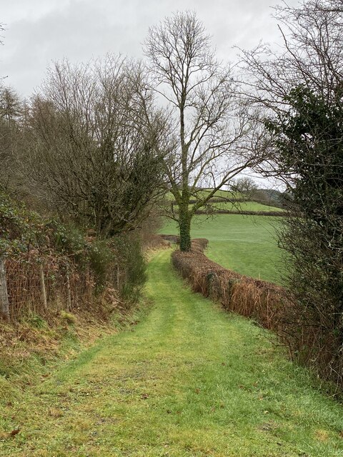 Ancient green lane © Alan Hughes cc-by-sa/2.0 :: Geograph Britain and ...