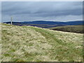 NT2929 : The Southern Upland Way near Kinchie Cleuch Burn by Dave Kelly