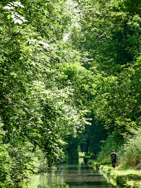 Woodseaves Cutting in Shropshire © Roger D Kidd :: Geograph Britain and ...