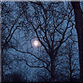 TQ2679 : Kensington Full Moon by Roger Jones